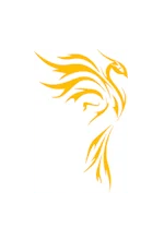 42d5873c-88b8-44a6-b51f-f7e5c79252b9-fenix3.png
